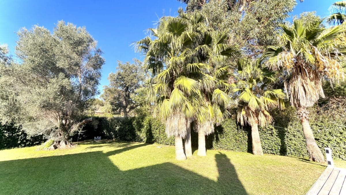 Villa à louer la Havana Grimaud jardin