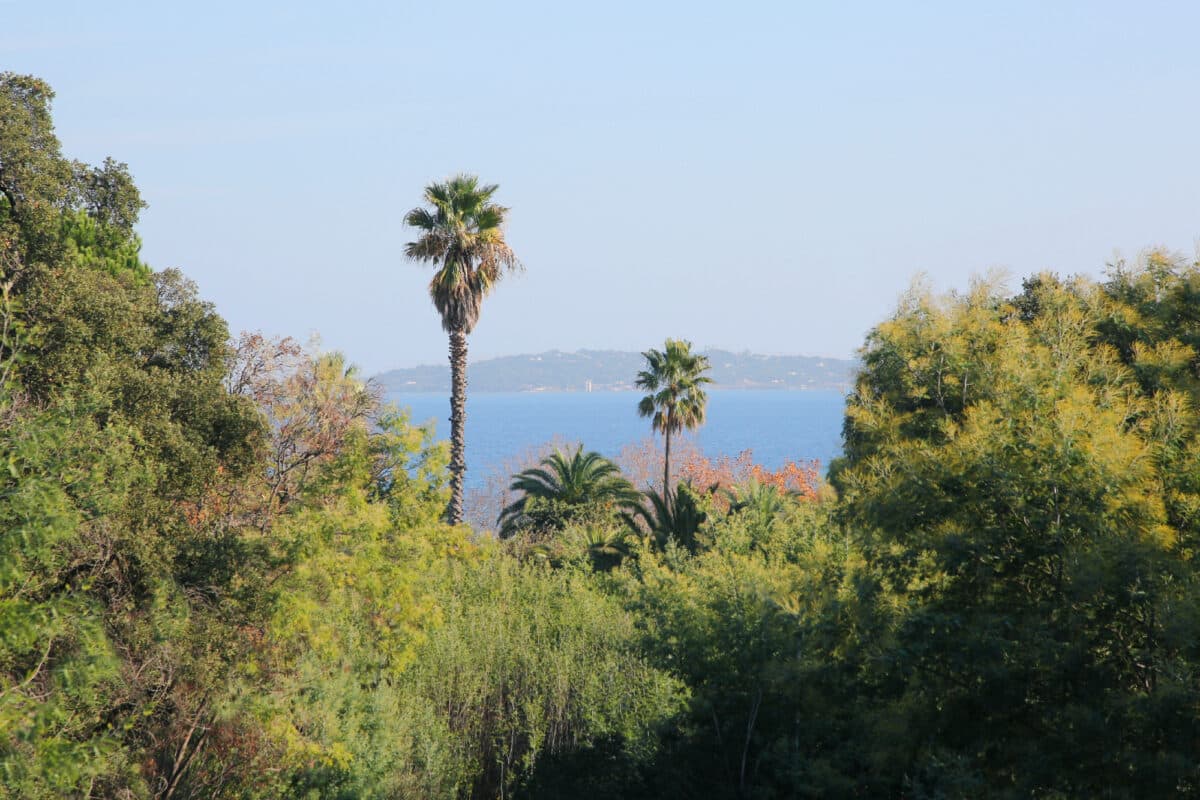 Villa à louer La Havana Grimaud vue mer